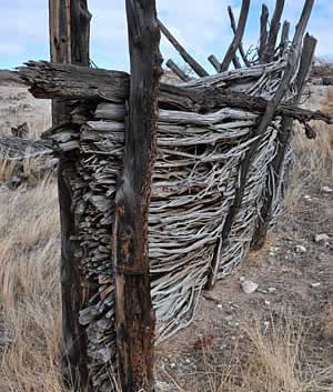 Oregon Highway 142 Kinney Camp willow fence