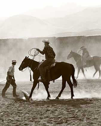 Alder Creek Ranch Nevada