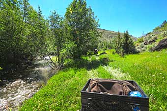 Kiger Gorge Oregon