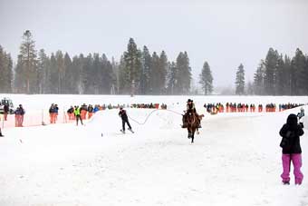 Skijoring in the Flathead Valley, Montana