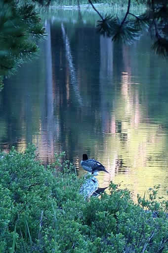 Watching the Maidu Lake shadows