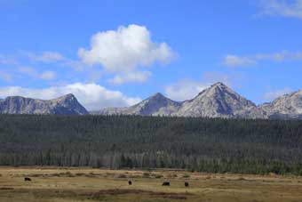 Road to Stanley, Idaho and the Salmon River