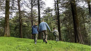 Father and sons hiking