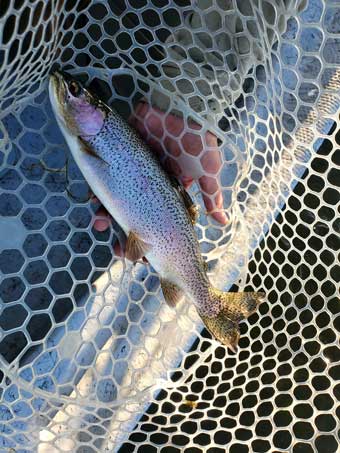 Fishing the Missouri River