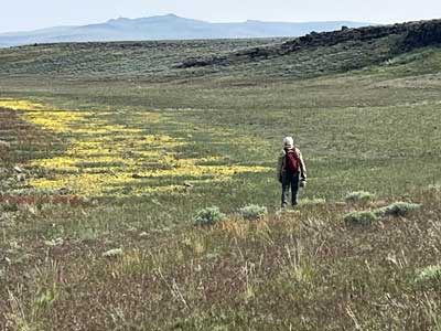 Hart Mountain National Antelope Refuge, Oregon, view