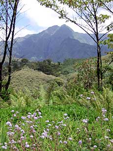 Mt. Waialeale, Oahu