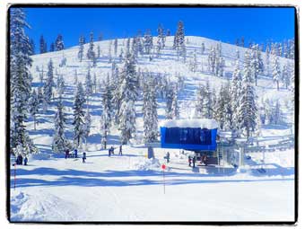 Mount Shasta skiing