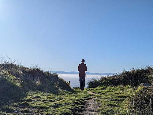 Sugarloaf Scenic Preserve in Christchurch, New Zealand